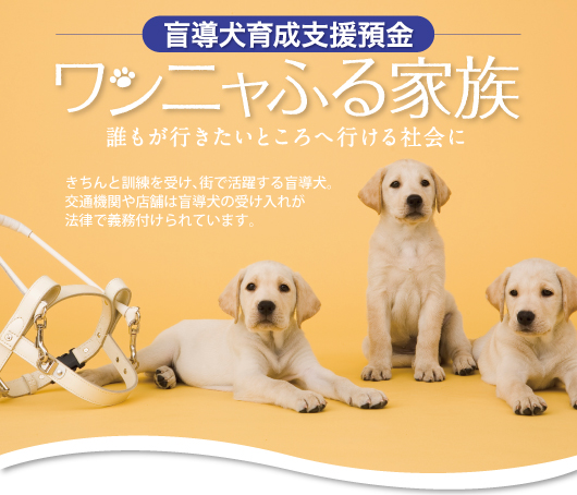 盲導犬育成支援預金 ワンニャふる家族