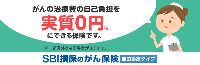 SBI損保のがん保険