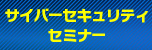 サイバーセキュリティセミナー