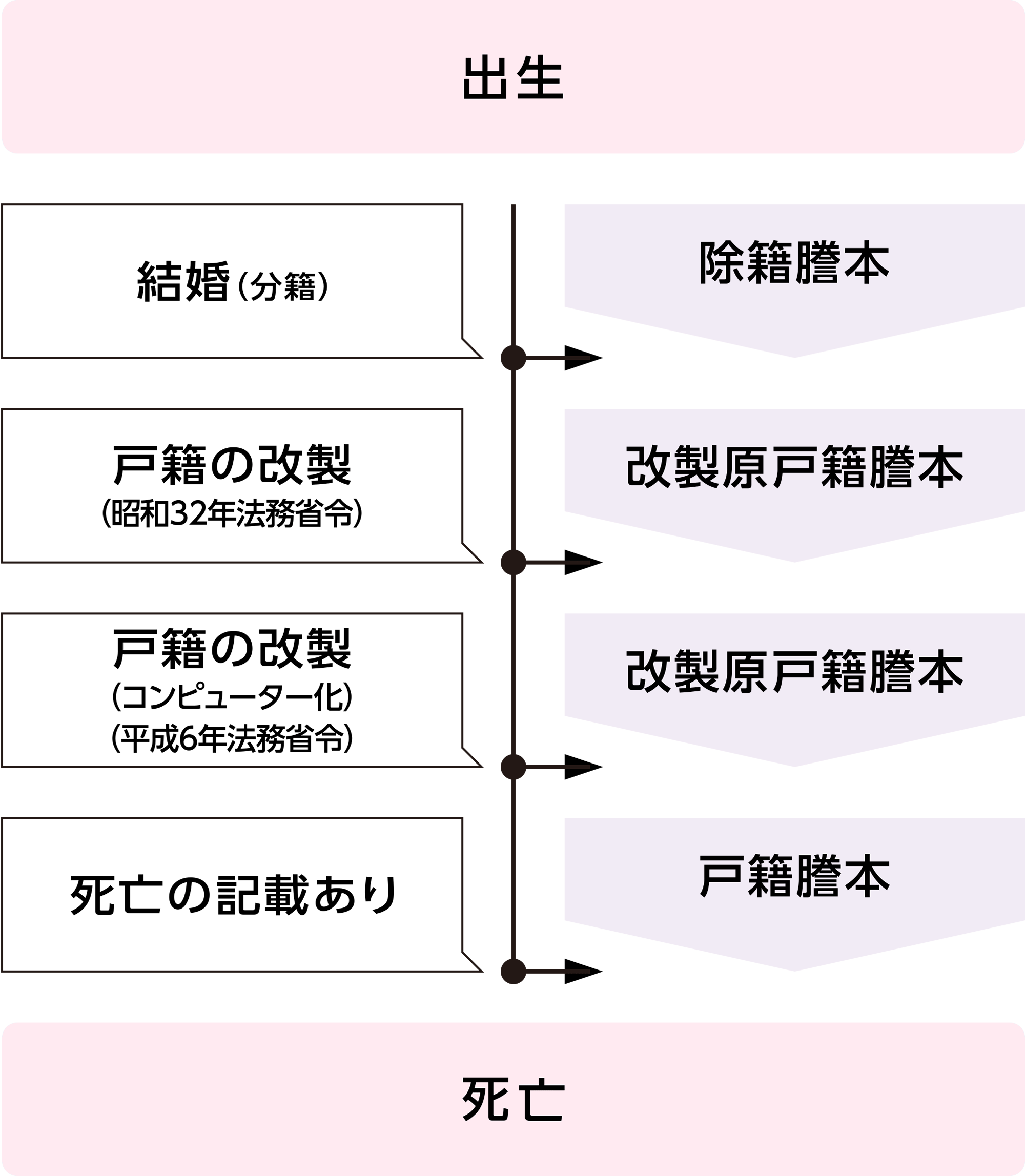 戸籍謄本イメージ