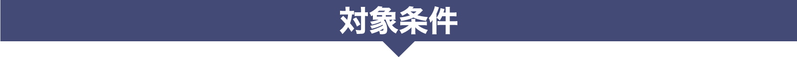 対象条件